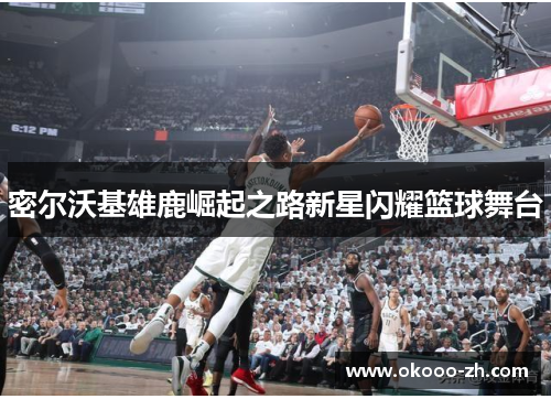 密尔沃基雄鹿崛起之路新星闪耀篮球舞台