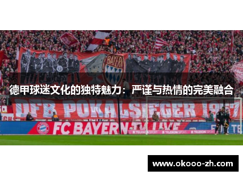 德甲球迷文化的独特魅力：严谨与热情的完美融合